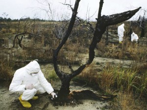 Длинная тень Чернобыля